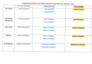 FB_IMG_1677705114961