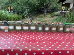 IMG-20240907-WA0001