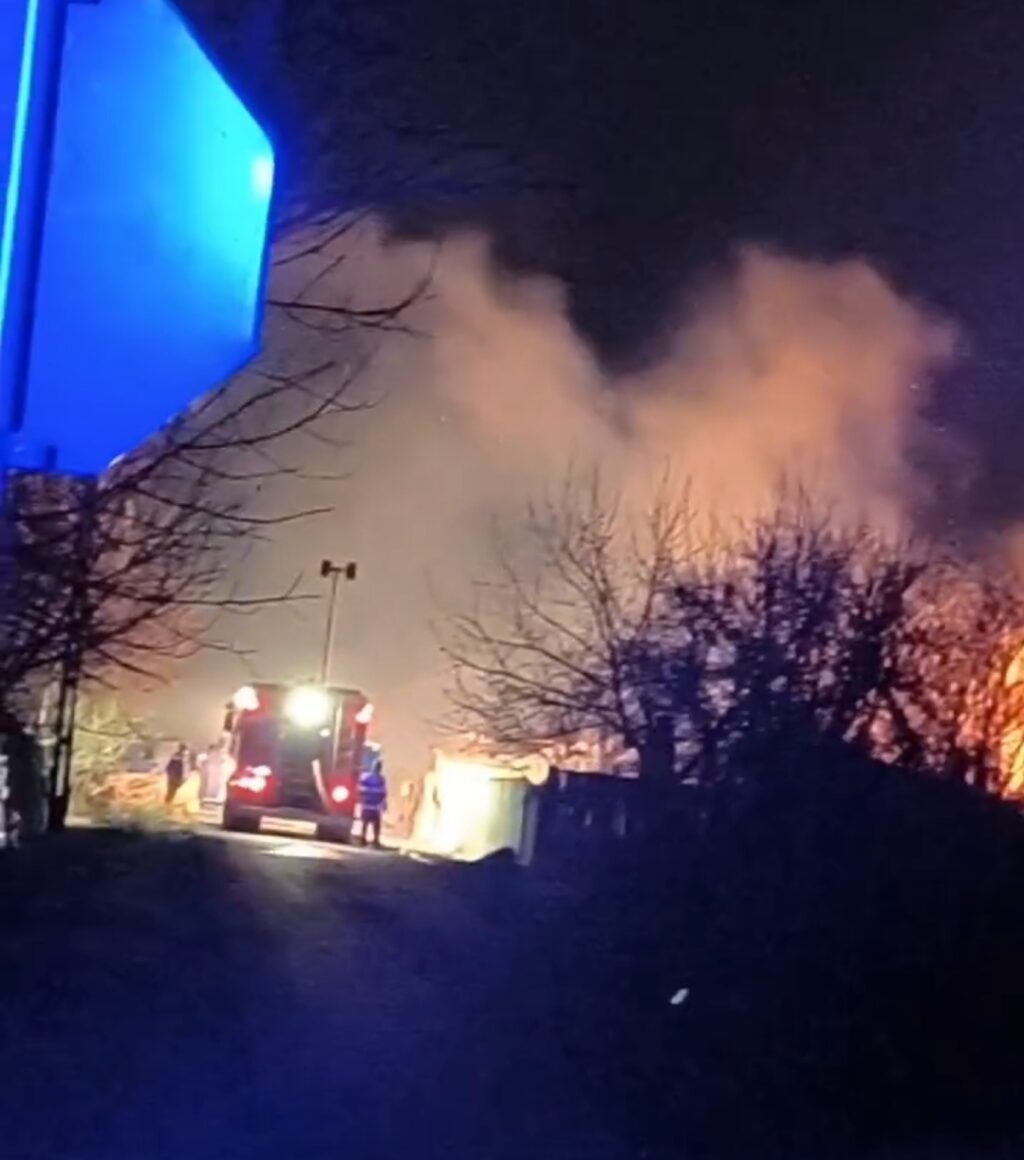 Screenshot_20250215_110314_WhatsAppBusiness