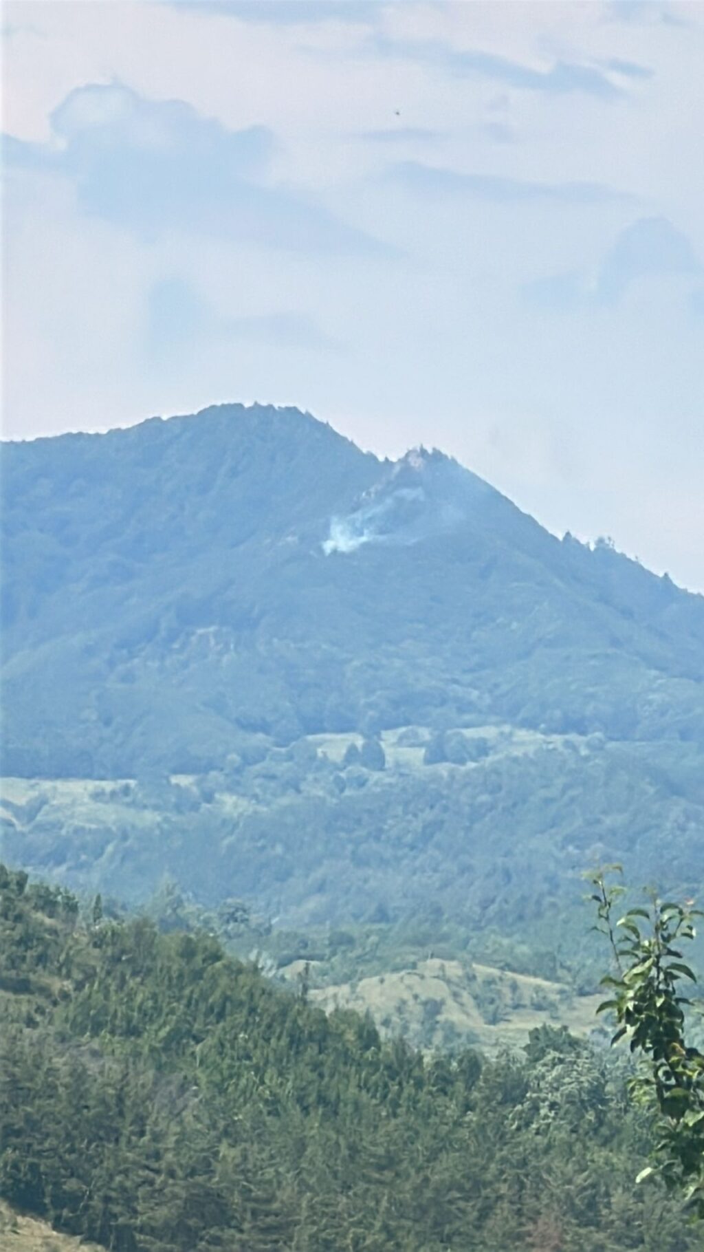 IMG-20250707-WA0021