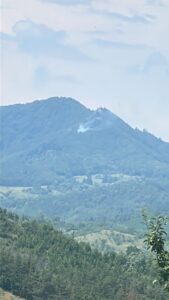 IMG-20250707-WA0021