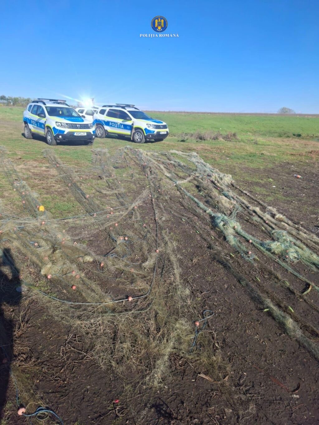 ACTIUNE PISCICULTURA (2)