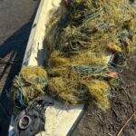 ACTIUNE PISCICULTURA (3)