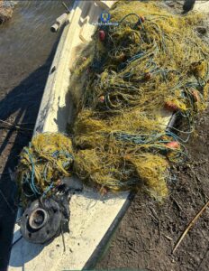 ACTIUNE PISCICULTURA (3)