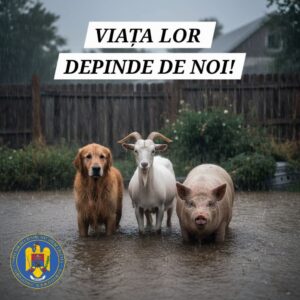 FB_IMG_1759845832910