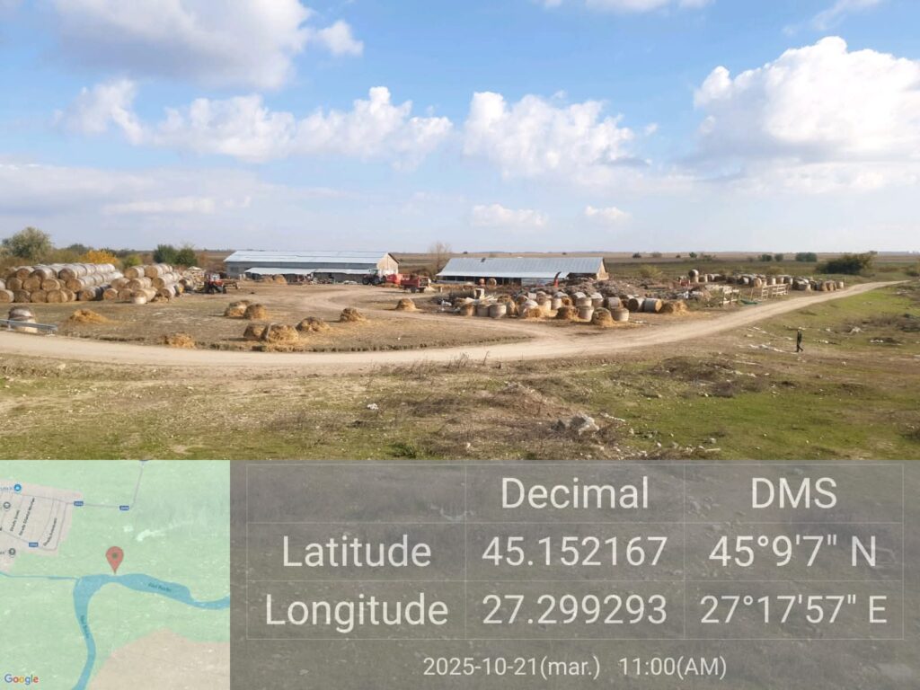 FB_IMG_1763468639688