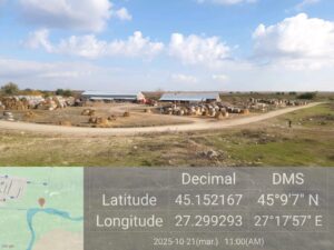 FB_IMG_1763468639688