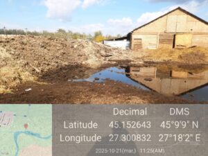 FB_IMG_1763468643397