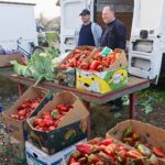 Screenshot_20251123_135113_Gallery