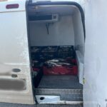 foto razie pogoanele (3)