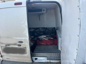 foto razie pogoanele (3)