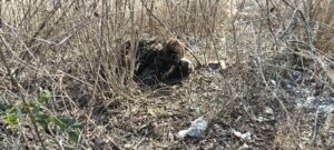 FB_IMG_1769005255831