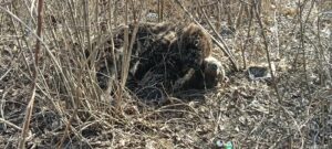 FB_IMG_1769005264770