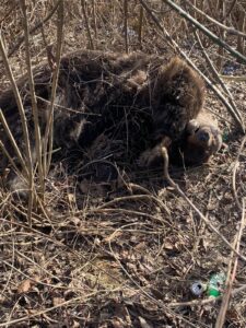 FB_IMG_1769005272430