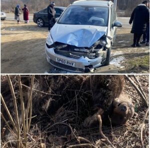 Screenshot_20260121_162357_FotoCollage Maker