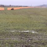 FB_IMG_1771236136915