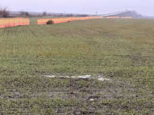 FB_IMG_1771236136915