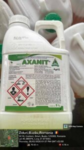 FB_IMG_1771236157789