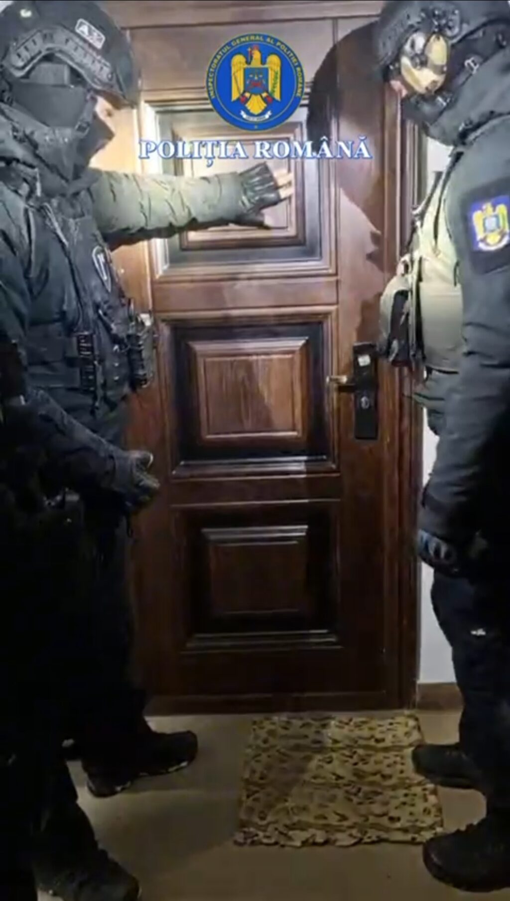 Screenshot_20260212_115617_WhatsAppBusiness