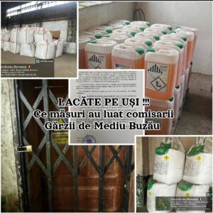 Screenshot_20260216_120910_FotoCollage Maker