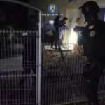 Screenshot_20260305_100928_WhatsAppBusiness