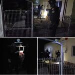 Anchetă amplă în două cauze penale privind eutanasierea ilegală a câinilor fără stăpân