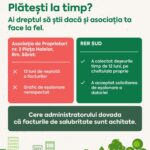 FB_IMG_1775129859147