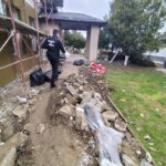 FB_IMG_1776423215707