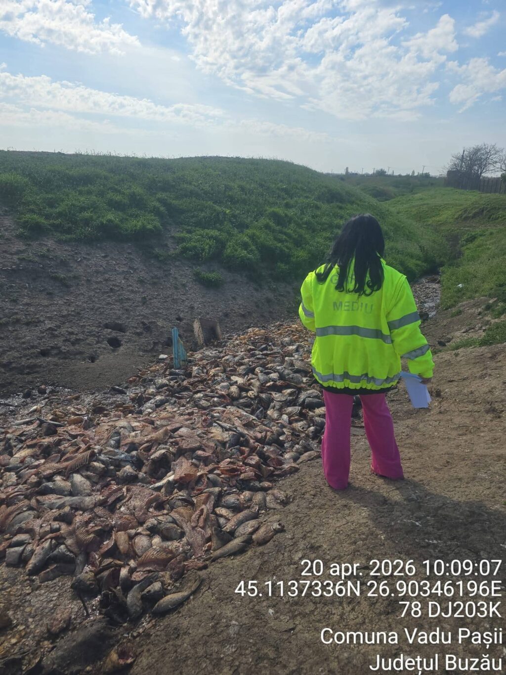 FB_IMG_1777291125097