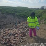 Priveliște șocantă în apropierea unei ferme de păsări din Buzău