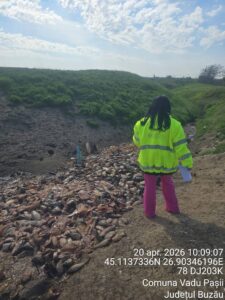 FB_IMG_1777291125097