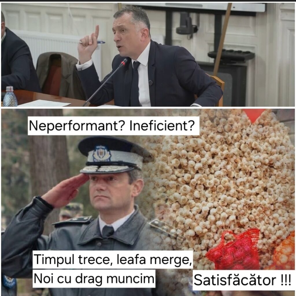 Screenshot_20260401_171723_FotoCollage Maker