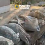 Percheziții pentru prevenirea și combaterea faptelor ilegale din domeniul piscicol